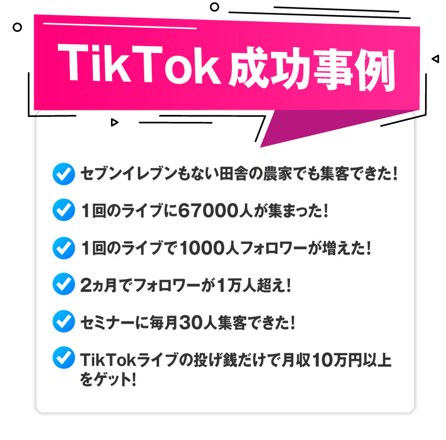 TikTok 成功事例